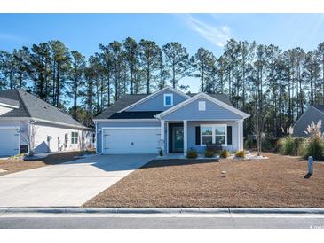 Charming house with gray siding, white trim, and a two-car garage at 2024 Willow Run Dr., Little River, SC 29566