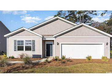 Curb appeal abounds in this charming one-story home featuring a two-car garage and landscaped lawn at 1138 Black Lake Way, Conway, SC 29526