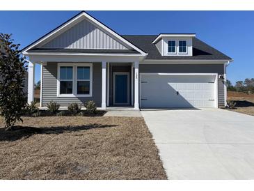 Charming single-Gathering home featuring gray siding, white trim, and a two-car garage, perfect for comfortable living at 128 Joyce Dr, Longs, SC 29568