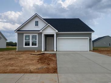 Charming one-story home with gray siding, white trim, a two-car garage, and a concrete driveway at 147 Joyce Dr, Longs, SC 29568