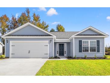 Charming single-story home featuring a pristine lawn, attached two car garage and classic architectural details at 643 Snowy Owl Way, Conway, SC 29527