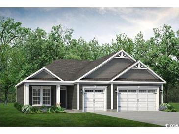 Charming single-story home with a welcoming facade, a two-car garage, and manicured landscaping at 807 Big Cedar Dr., Loris, SC 29569