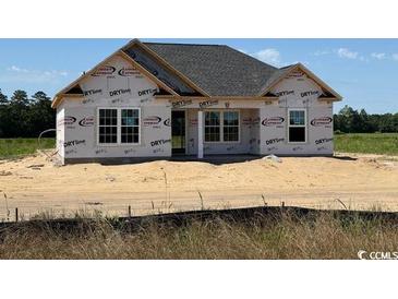 New construction home featuring a modern design and bright, unfinished exterior at 6696 Joyner Swamp Rd., Galivants Ferry, SC 29544