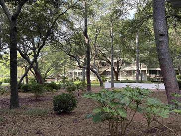 View of a building nestled in a lush landscape of mature trees and greenery at 415 Ocean Creek Dr. # 2117, Myrtle Beach, SC 29572
