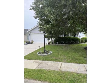 Landscaped front yard with a well-manicured lawn, decorative plants, and a charming lamppost at 132 Carolina Pointe Way, Little River, SC 29566