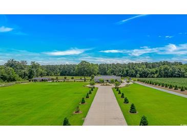 Expansive property featuring a long driveway leading to a charming house with lush green lawns and mature trees at 15810 County Line Rd., Andrews, SC 29510