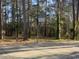 Outdoor basketball court nestled in a wooded area at 9 Gumwood Dr., Carolina Shores, NC 28467