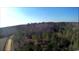 Aerial view of wooded lot near a road at Tbd 8 Ellwood Rd., Galivants Ferry, SC 29544