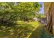 Expansive backyard with lush greenery and mature trees at 705 White Oak Dr., Johnsonville, SC 29555