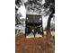 Unique raised beach home with black support beams, porches and landscaping at 189 Brown Pelican Loop, Pawleys Island, SC 29585