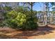 Backyard view with mature trees and natural landscaping at 6625 Scotsman Crescent, Myrtle Beach, SC 29588