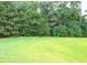 View of a large grass lawn, surrounded by trees at 157 Blue Jacket Dr., Galivants Ferry, SC 29544