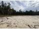 A view of undeveloped land with trees on an overcast day at 1033 Sioux Swamp Dr., Conway, SC 29527