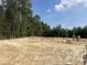 View of cleared lot for new construction with worker at 1033 Sioux Swamp Dr., Conway, SC 29527