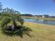 Spacious backyard with pond view and palm tree at 2020 Santa Maria St., Myrtle Beach, SC 29579