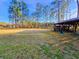 Open grassy yard with wooden shed at 1861 Jenerette St., Mullins, SC 29574