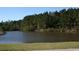 Scenic pond surrounded by lush trees and greenery, enhancing the natural beauty at 1060 Log Cabin Rd., Loris, SC 29569