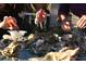 Close-up of fresh oysters on a table, ideal for seafood lovers to enjoy at 1348 Peterson St., Myrtle Beach, SC 29577