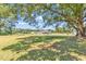 Expansive grassy backyard with trees, a view of the house and neighboring properties at 3747 Bakers Chapel Rd., Aynor, SC 29511