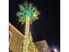 Decorated palm tree and Christmas tree at night at 3131 Tiger Tail Rd., Conway, SC 29526