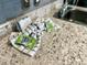 Close-up of a kitchen countertop with granite detailing and essential cleaning supplies at 5905 S Kings Hwy. # 231, Myrtle Beach, SC 29577