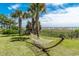 Relaxing hammock overlooking the ocean and beach area surrounded by mature palm trees on a sunny day at 6900 N Ocean Blvd. # 405, Myrtle Beach, SC 29572