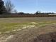 Expansive backyard featuring a privacy fence and some fresh growth on a sunny day at 107 Deans Ct., Green Sea, SC 29545