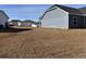 Expansive backyard with newly laid sod, offering a blank canvas for outdoor activities and landscaping at 216 Palmetto Sand Loop, Conway, SC 29527
