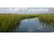 Serene view of a marsh with tall grasses and calm water at 110 Hallandale Lane # Left, Murrells Inlet, SC 29576