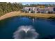 Backyard aerial view showcases a fountain pond, mature trees, and grassy expanse, creating a peaceful backdrop for the homes at 206 Mossy Stone Ct. # 1605, Murrells Inlet, SC 29576