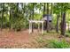 Backyard featuring trees and a tree house at 244 George Washington Trail, Georgetown, SC 29440
