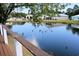 Scenic pond view features ducks swimming on the water near residential buildings at 37 Geney Ln., Pawleys Island, SC 29585