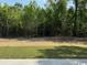View of the backyard showcasing lawn and trees at 3162 Wayside Rd., Conway, SC 29527