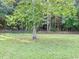 Spacious backyard with a large grassy area, perfect for outdoor activities at 2347 Devine St., Georgetown, SC 29440