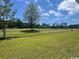 Lush backyard with golf course views and open green space, ideal for relaxation and recreation at 9742 Indigo Creek Blvd., Murrells Inlet, SC 29576