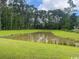 Scenic view of a tranquil pond, nestled within lush green surroundings, enhancing the property's natural beauty at 9746 Indigo Creek Blvd., Murrells Inlet, SC 29576
