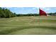 Expansive golf course view with a red flag in the foreground, manicured green and blue skies at 603 Bucks Trail, Longs, SC 29568