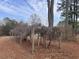 Unique backyard pergola structure with natural, rustic vines at 1237 Spring Garden Rd., Conway, SC 29526