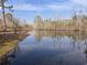 Scenic view of pond surrounded by trees on a sunny day at 1237 Spring Garden Rd., Conway, SC 29526