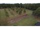 Aerial view of orchard with rows of trees and grassy areas at 4575 Saints Delight Rd., Georgetown, SC 29440