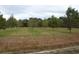 Open land with rows of trees, ideal for farming or development at 4575 Saints Delight Rd., Georgetown, SC 29440