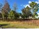 View of the yard with trees and some wild grasses in the distance at 718 Macon Alley, Myrtle Beach, SC 29588
