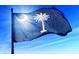 Waving South Carolina flag with palmetto tree and crescent moon against a blue sky at 1038 Jase Dr., Longs, SC 29568