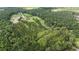 Lush, green expanse of land with rolling hills and dense tree cover, ideal for privacy and nature enthusiasts at 1692 S Morgan Ave., Andrews, SC 29510