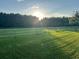 Scenic fenced pasture with lush grass and trees with sunlight peeking through the horizon at 1692 S Morgan Ave., Andrews, SC 29510