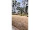 Large backyard with tall trees, offering a serene and private outdoor space at 1217 Nw Calabash Station Blvd., Calabash, NC 28467