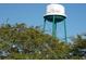 Conway water tower over the tops of trees at 741 Londonberry Ct., Conway, SC 29526