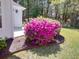 A vibrant pink azalea bush nestled against the home's siding and well-maintained mulch at 765 Ashley Manor Dr., Longs, SC 29568
