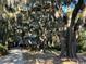 Charming raised beach house nestled among mature trees with Spanish moss at 187 Alston Rd., Pawleys Island, SC 29585