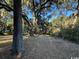 Expansive front yard with mature trees and a glimpse of the charming beach house at 187 Alston Rd., Pawleys Island, SC 29585